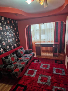 Apartament Mirela 1